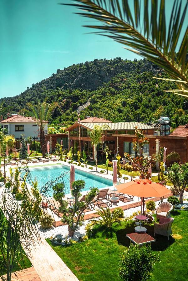 Cirali Hestia Lodge Kemer Eksteriør billede
