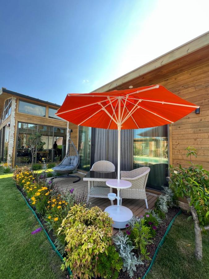Cirali Hestia Lodge Kemer Eksteriør billede