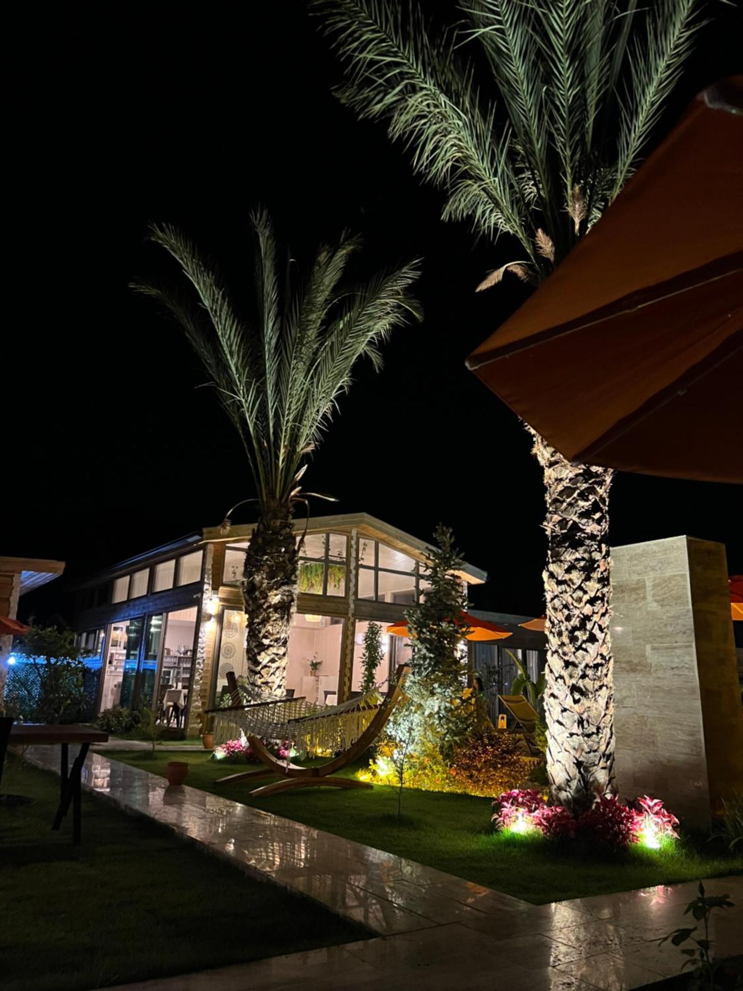 Cirali Hestia Lodge Kemer Eksteriør billede